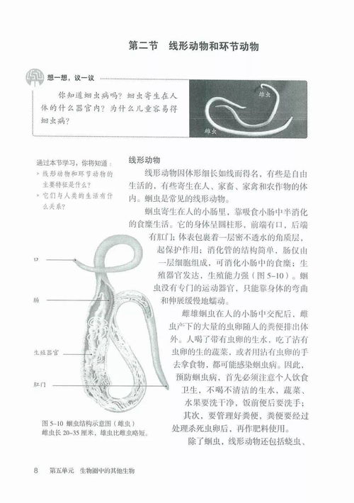 暑期高效預(yù)習(xí)指南 初中生物上冊第一章知識精粹與學(xué)習(xí)規(guī)劃