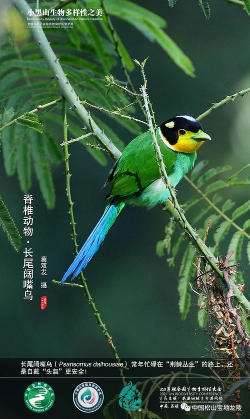 北緯24度 生物多樣性的獨特魅力與生態(tài)密碼