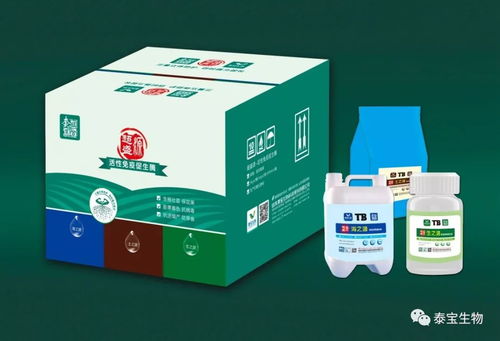 看不見的生命線——根系如何成為作物產(chǎn)量的決定性因素